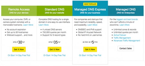 dns services