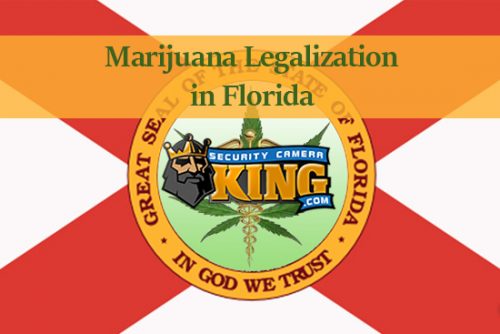 Florida Marijuana Laws | Recent Changes & Security Compliance